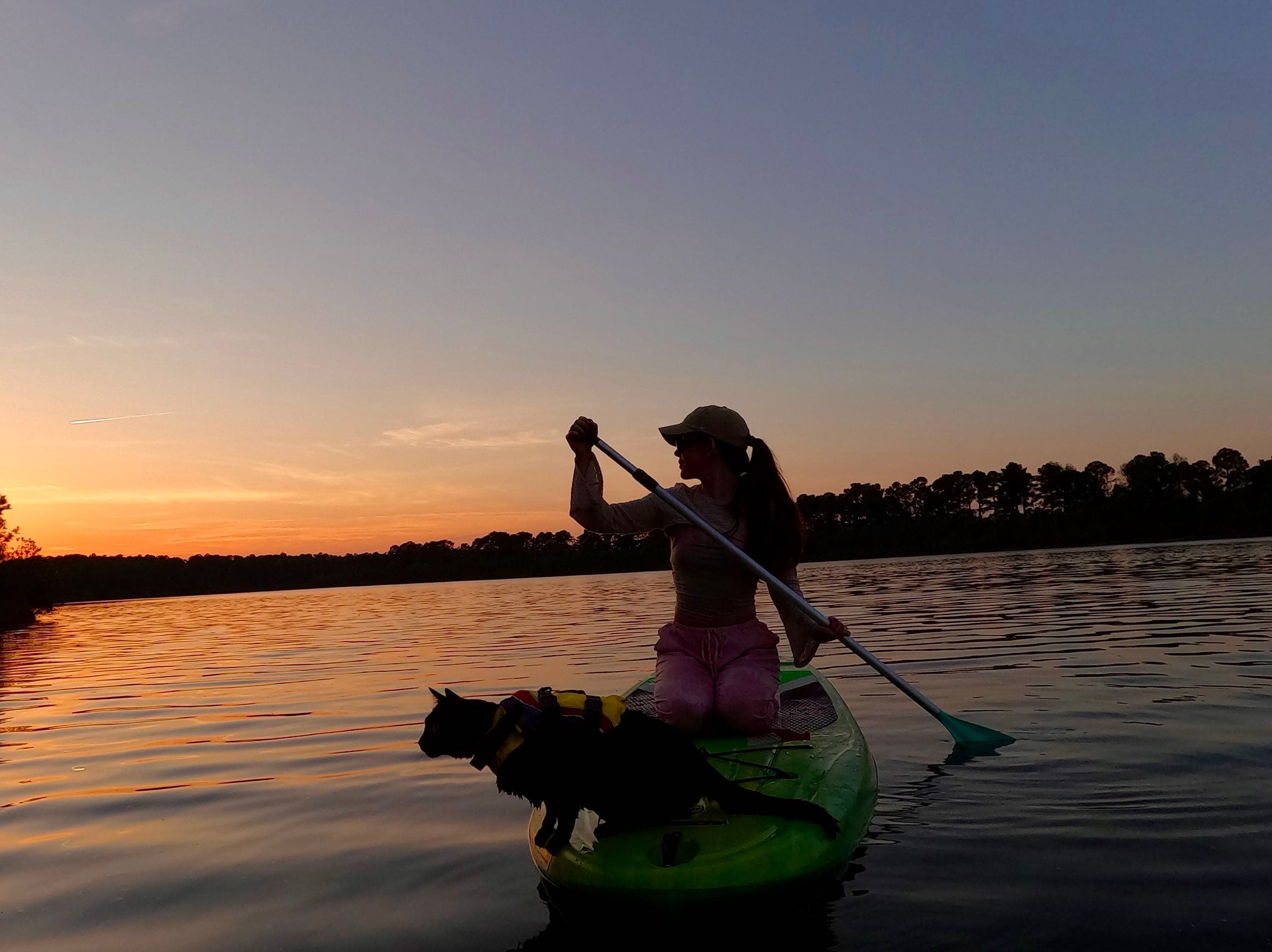Paddler and cat on a paddleboard at sunset